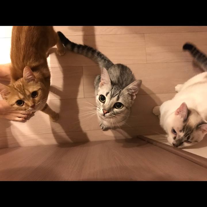 B03f17fb 2be9 4936 a5bb 1bbf406900dd