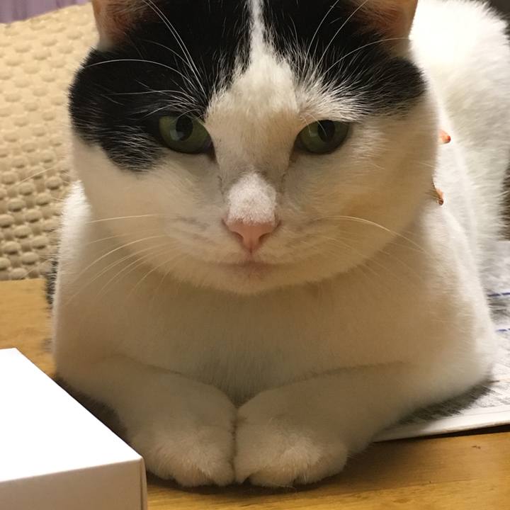 B03f4ca7 eb55 4d41 8441 00288669398b