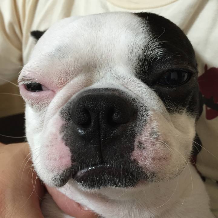 B03f4f7c 5a0f 4d1b b95f 212fc8194ac4