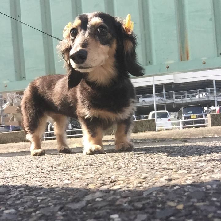 B03fd494 3469 4d25 956e d7c0538b3a08