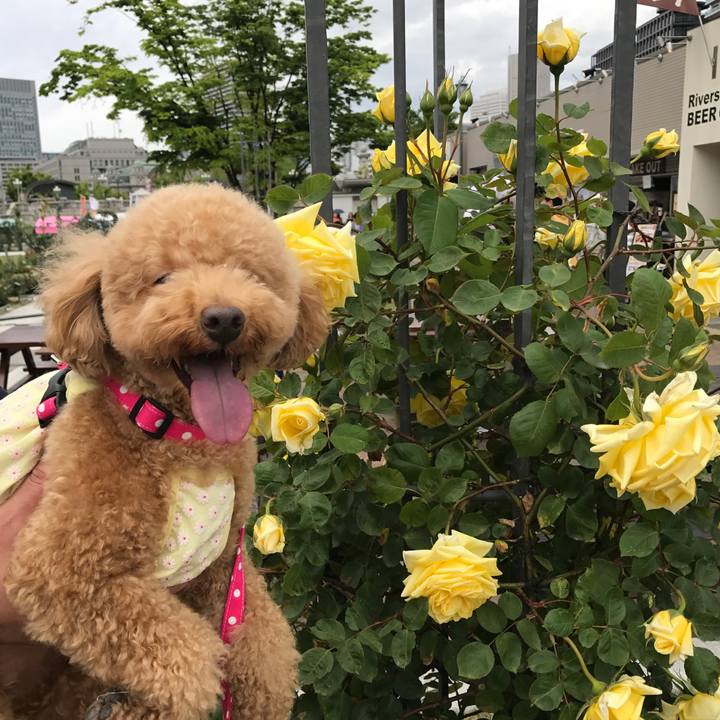 B03fdf9f 919f 489f 91a1 36d8822b8510