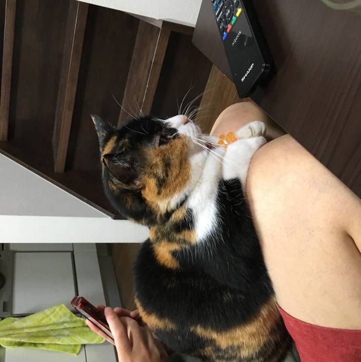 B040076a af8d 4b44 9063 137e5a17099d