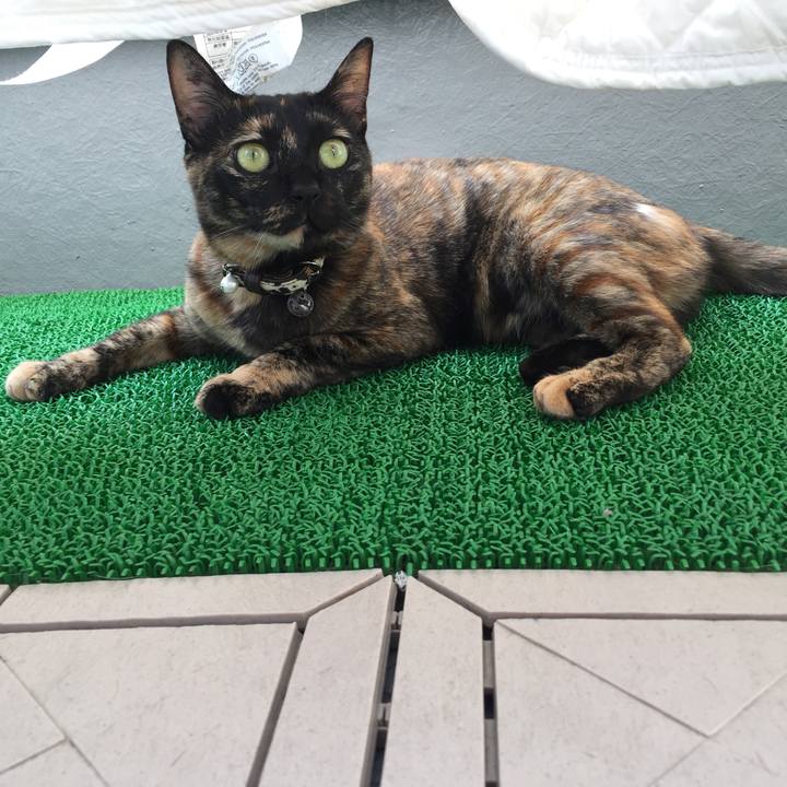 B0403486 f3c2 4a2f 8db9 755445a5598c