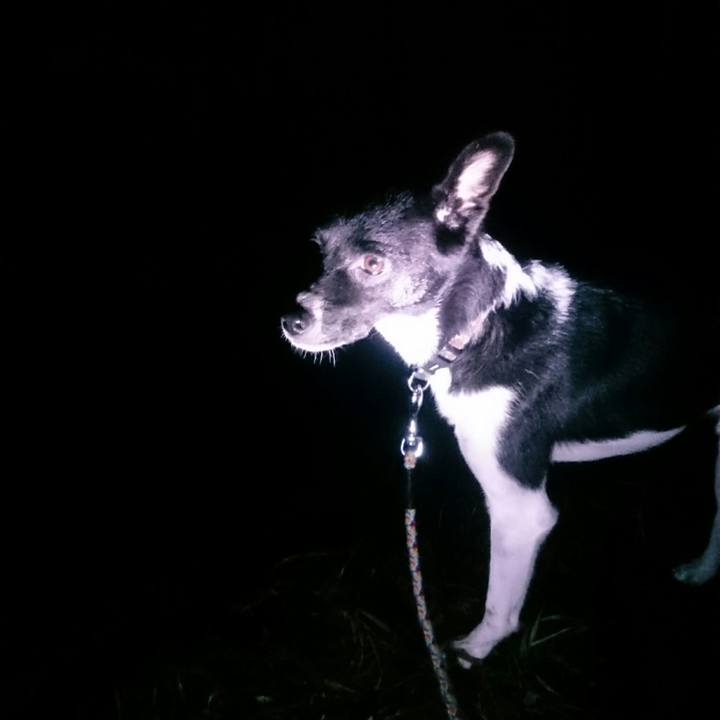 B0404430 8eda 46b9 8fac 9640ad487c3b