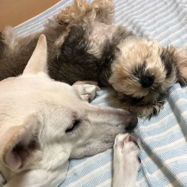 B0404c05 228f 414a a575 8fa5ac9a0692