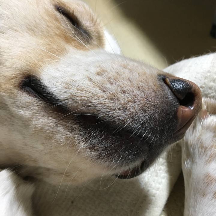 B04056e3 9dcb 4a26 8e17 f717adddaf4c