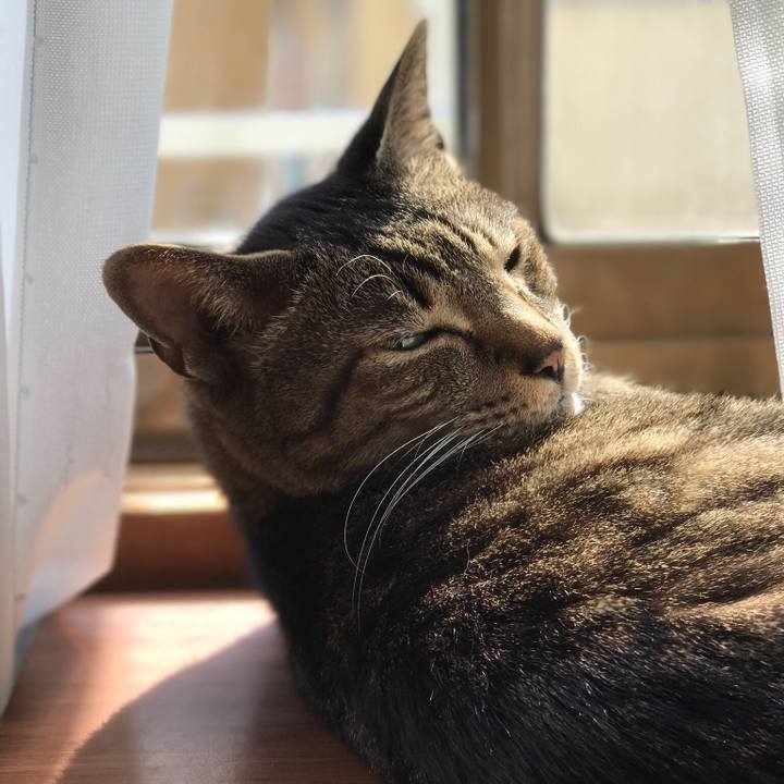 B040a7fd ee06 4845 98d7 078d2eefc26a