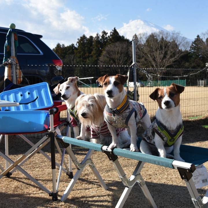 B040bba7 7932 4574 8a01 46aac1ba4831