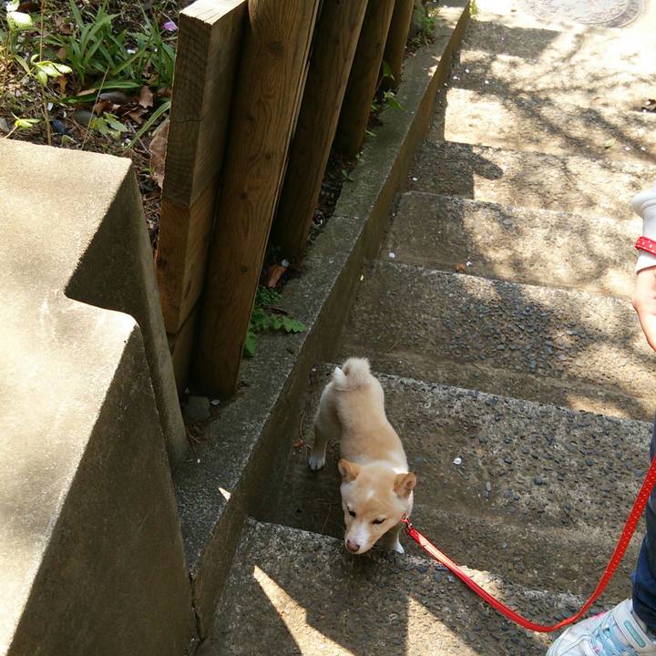 B0423705 a1cf 43b5 a27c b8d1c5b8d9cc