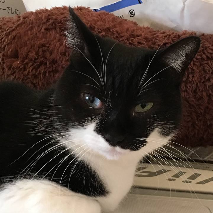 B042d9c8 4c59 4c19 b5e1 4574c3c2920d