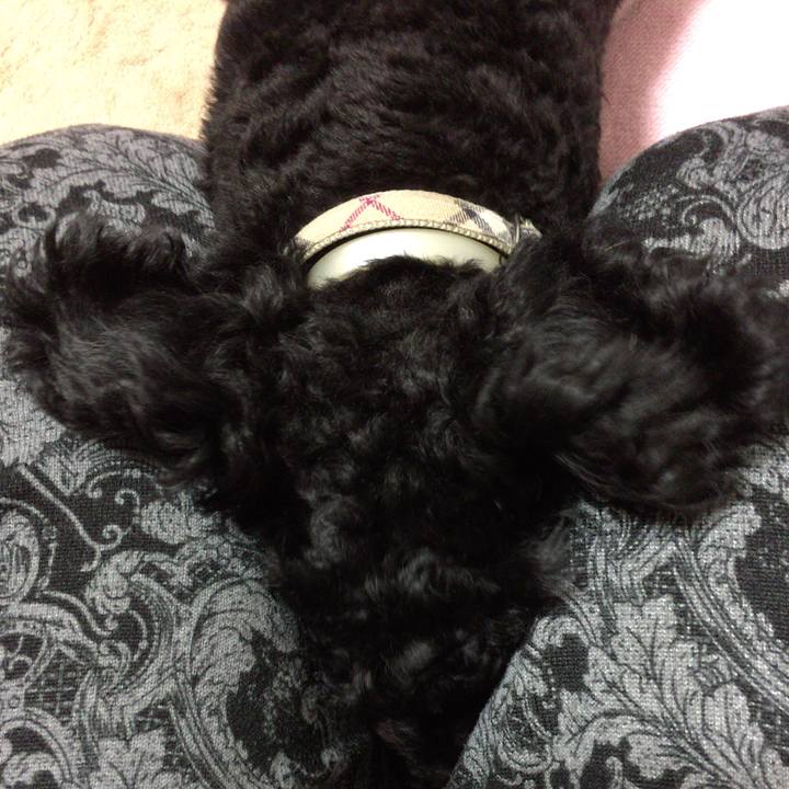 B042fd5e a81f 4074 bb5a a71ceb7e54b4