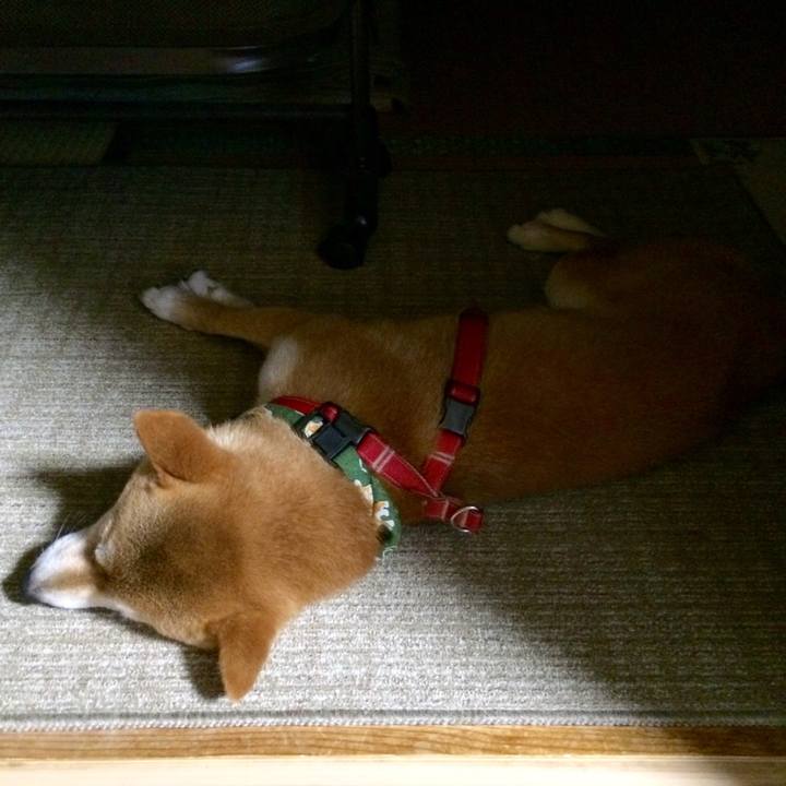 B04361c7 7eb9 4a40 bf97 d85b7be65b34