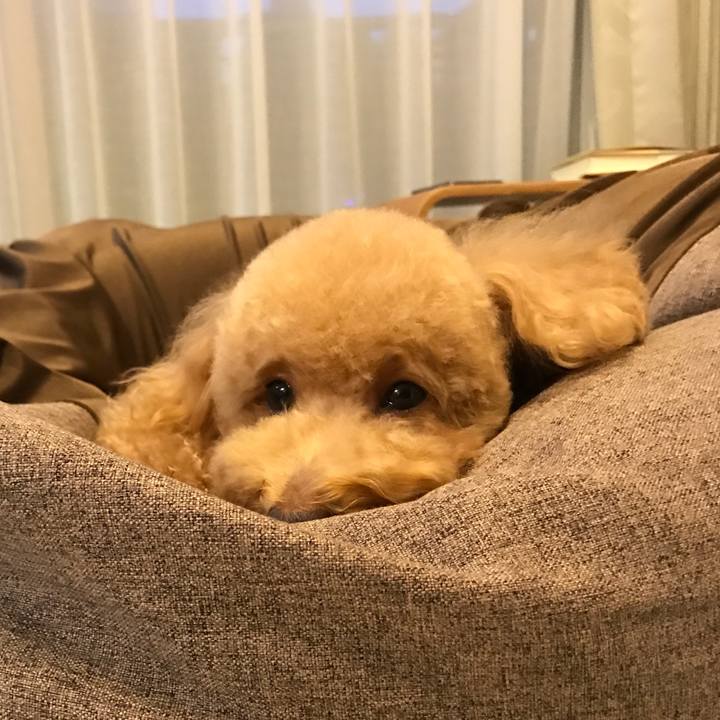 B0439fd2 465b 466a bce3 662245c5f14d