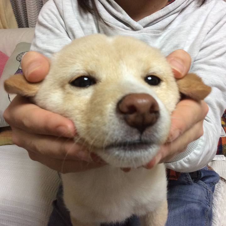 B0444a17 115f 448b 8f64 502db65156f4