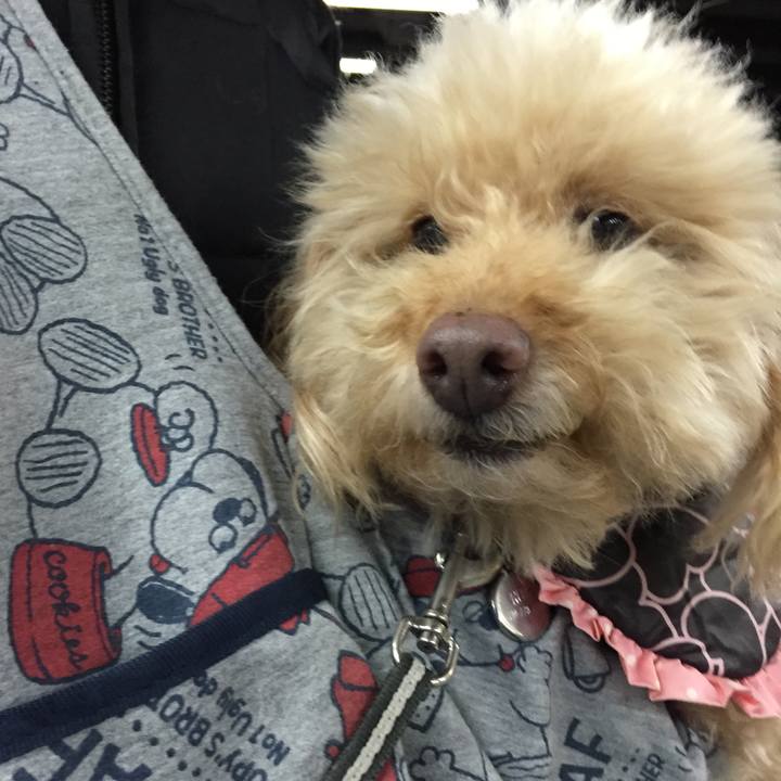 B0445701 d3a7 443d 8d7a 0e590f1dc91a