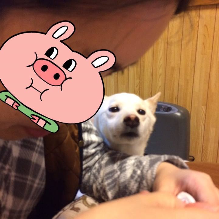 B044fa8c 17dc 47b2 8422 94f344c71df5