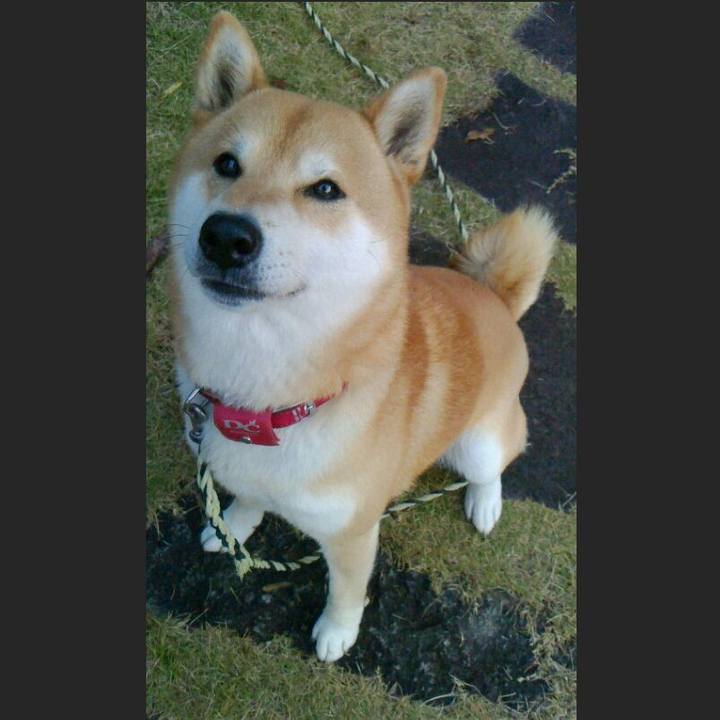 B0455dd5 221c 459f 930f 3e92094a48d6