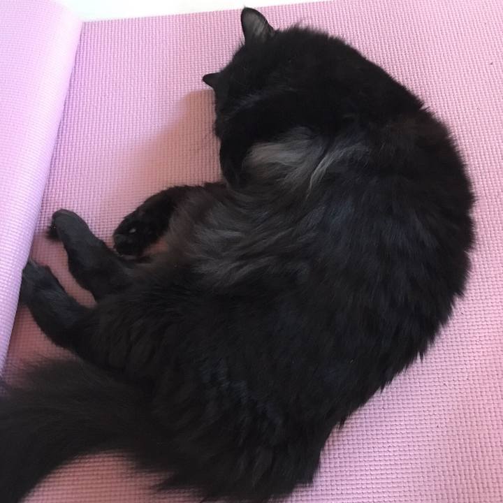 B045beff 1238 42e7 90bd 409510558b79