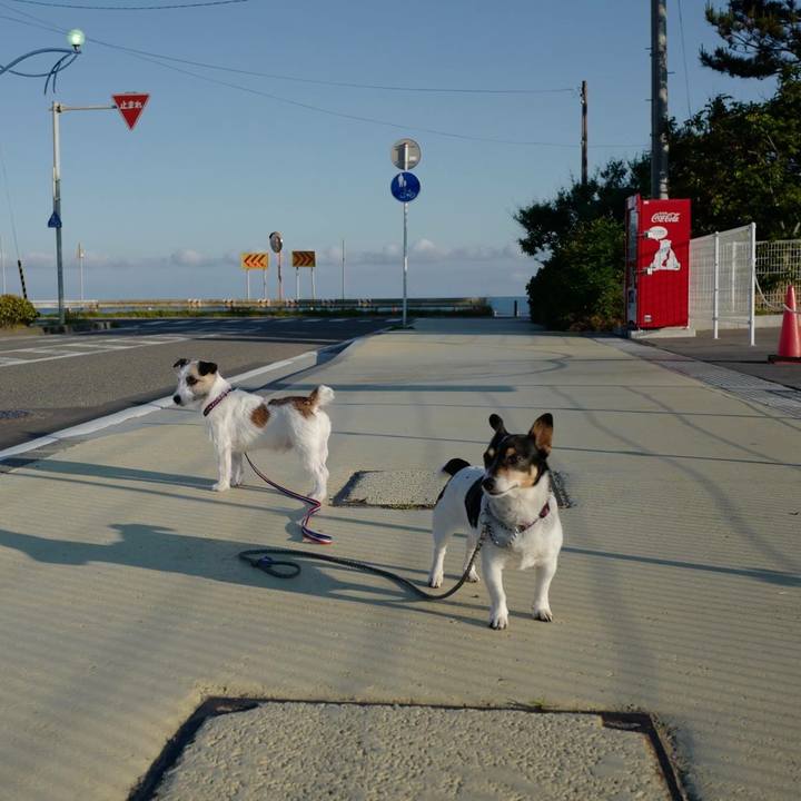 B0460baf 0c20 4f43 9c03 12f8d49d762e