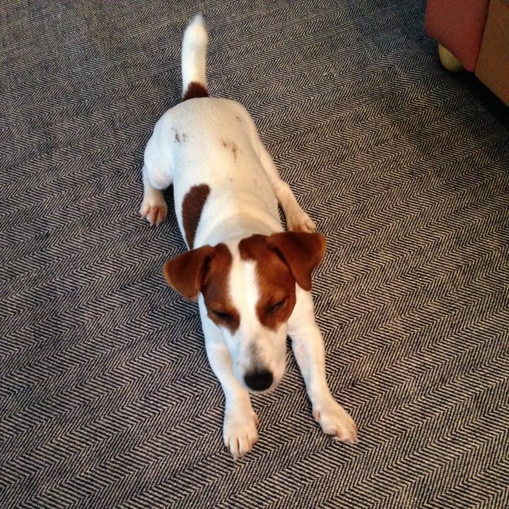 B04642d5 ef74 46d7 9e38 b7d284e28ae6