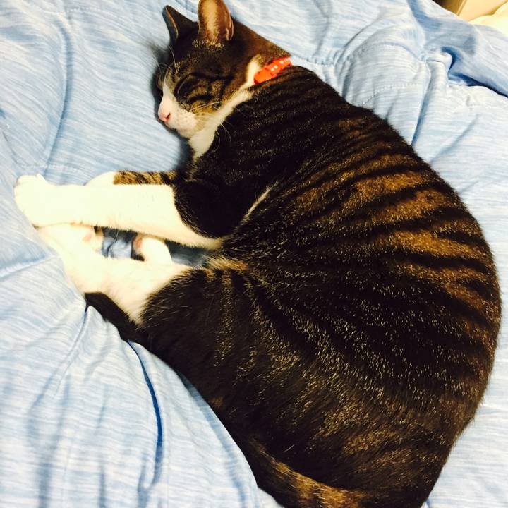 B046ad3b fcf2 466f aca6 337915ceb919