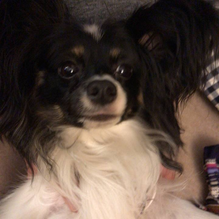 B046b516 7f96 4174 9a14 a257e972fa92