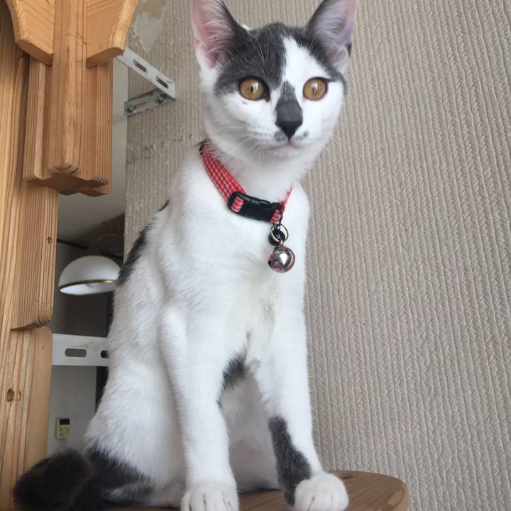 B046b8b6 d109 4159 808f 1a585c654b3d