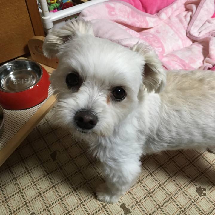 B0473f12 c14c 4174 8765 23382cff1bb4