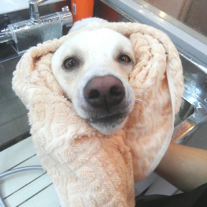 B04740a8 b3cf 4020 a773 4074a901f007