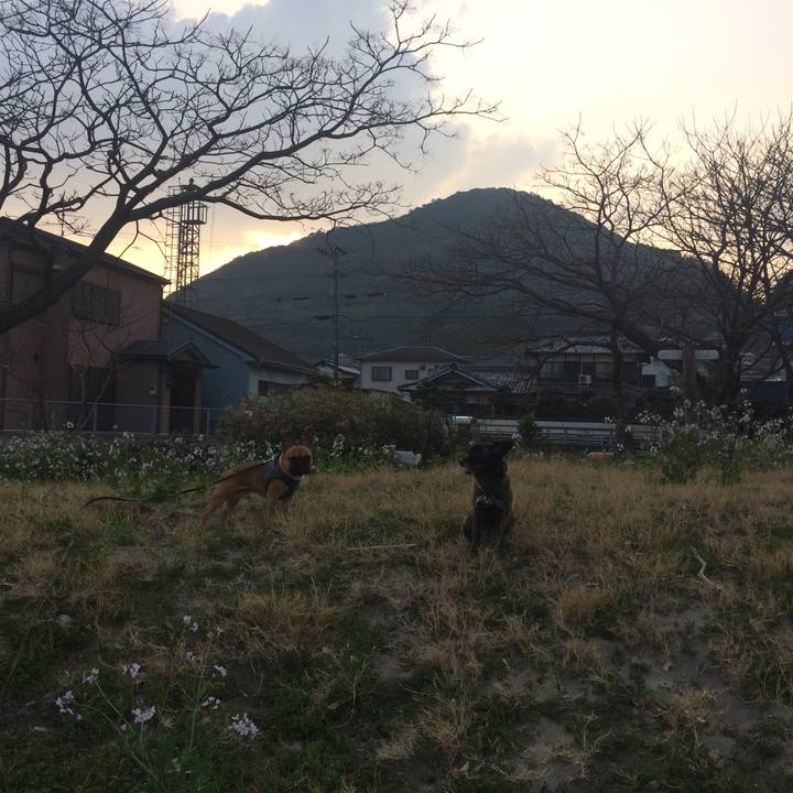 B04800b2 bd53 489d 8c2b 5c63fe3853e1