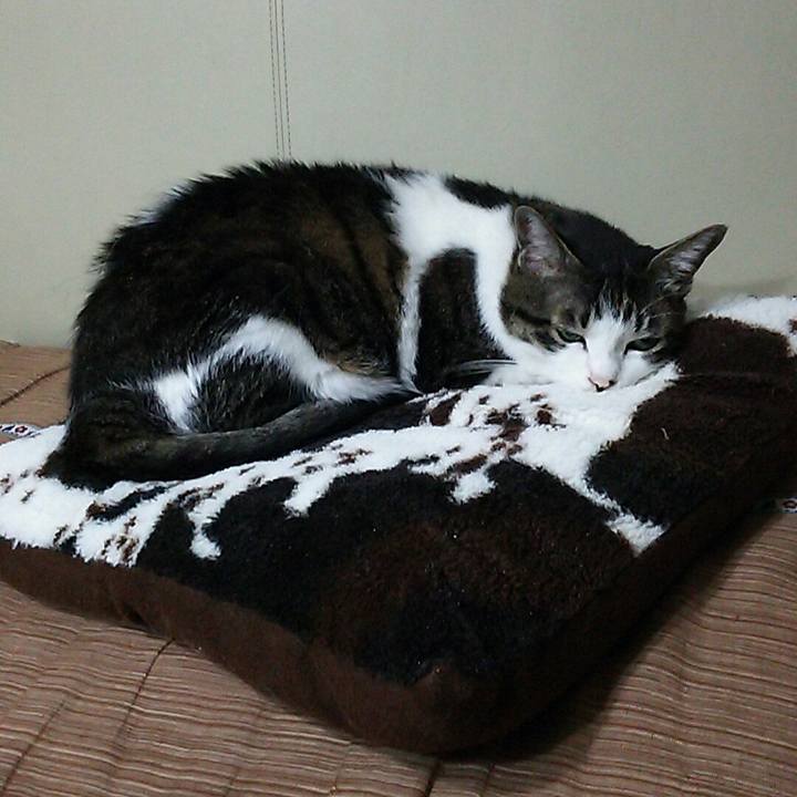 B048407b b7ab 4426 8aaf ee4008ce7d87