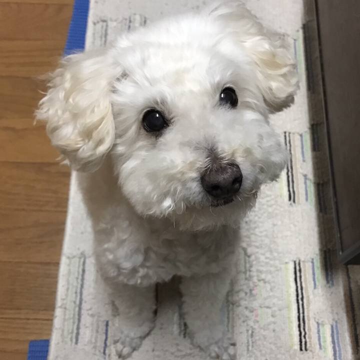 B048542a bb30 4b52 a578 b57850fe2b88