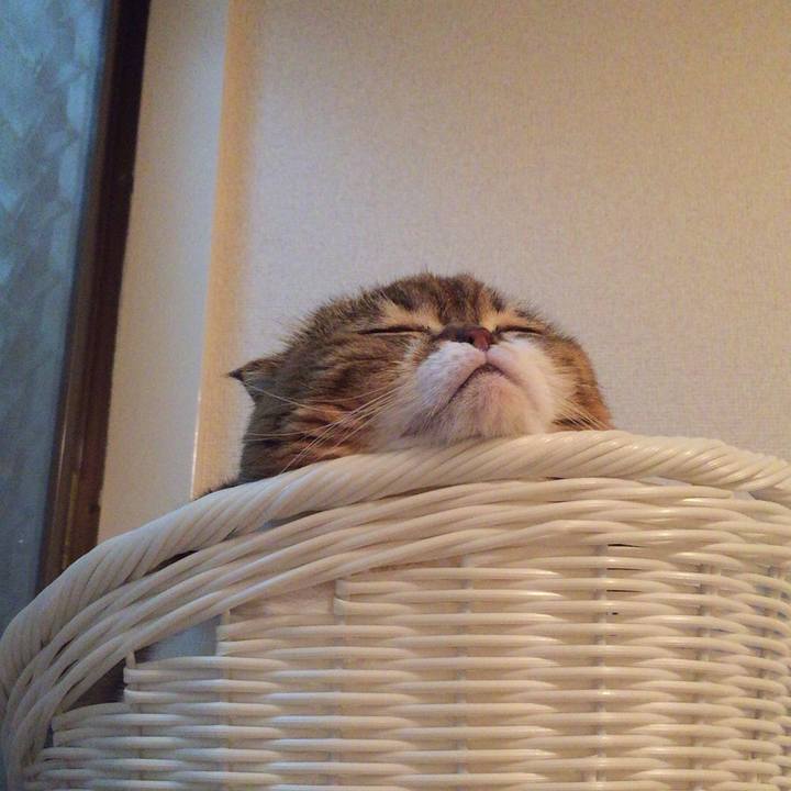 B048d99e 9543 42f9 b34a ef7f9605a5ef