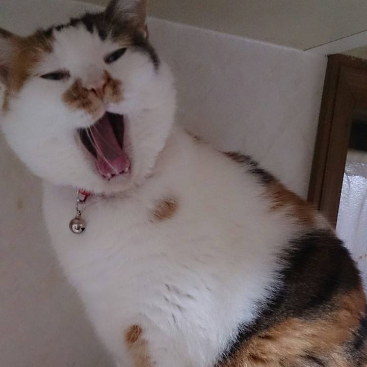 B048e778 04a3 48ec af43 95adea1b24da