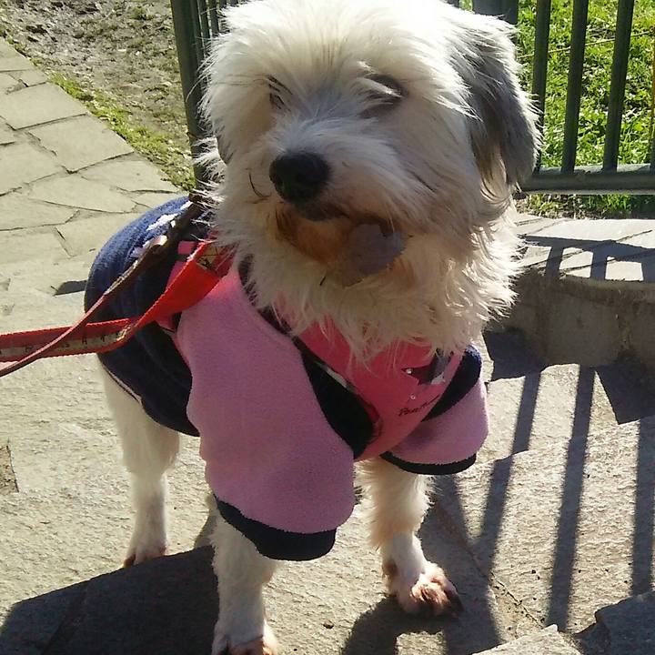 B04965d5 2303 4e0f ab60 b83d2a4f7245