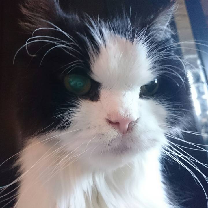 B0499b5c 8f3c 4f3e 8467 9c6b4926c04c