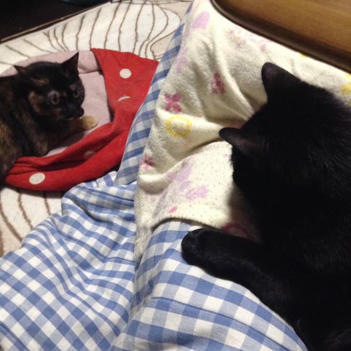 B049a20d f291 41ad 975d c091fd05e0e5