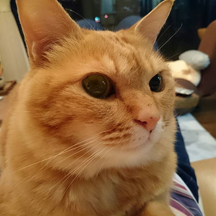 B049c218 6a05 48cb 8189 c8708dfb6bec