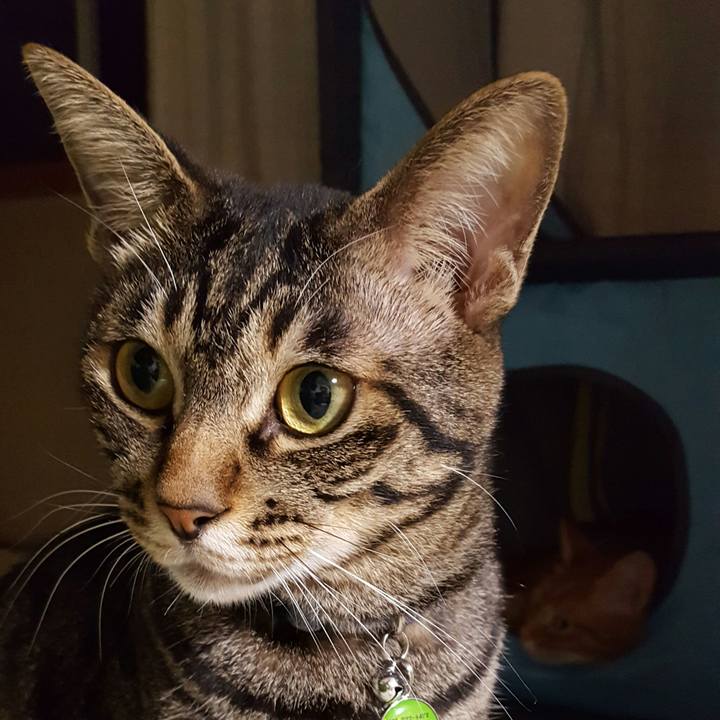 B049edf5 b9a0 4526 a063 fde848ee87cc