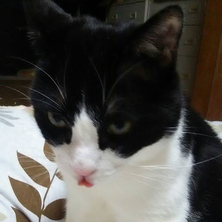 B049f734 83fc 4ce5 b73d 55f7bf8e1806