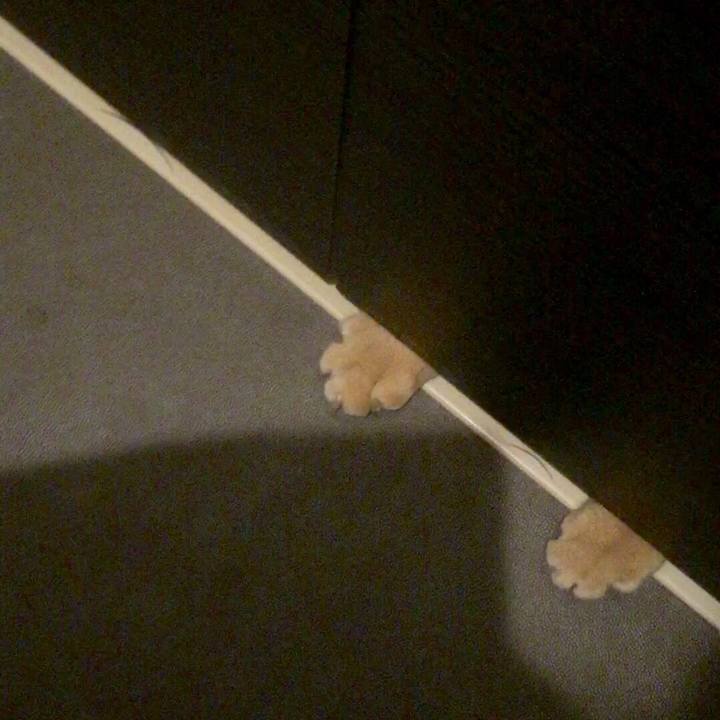 B049f775 e3f7 499a a9f0 76f7ff695126