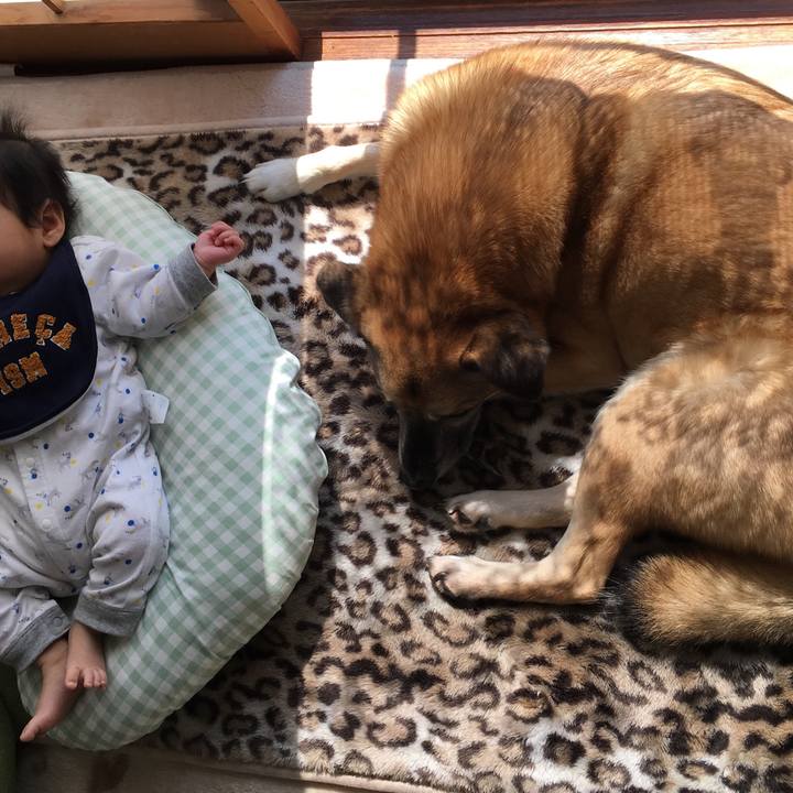 B04a5f81 26cd 4bf9 8bbd dcd6c42d8023