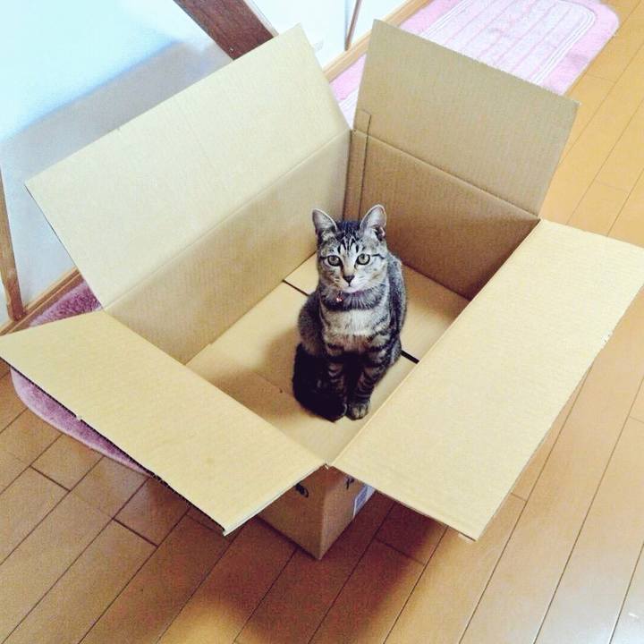 B04a8de1 2633 4322 941b d6a8d8df5c24