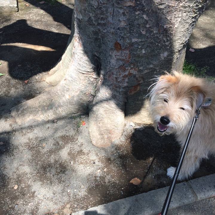 B04b6077 3575 48cf bb7c 23a769131eff