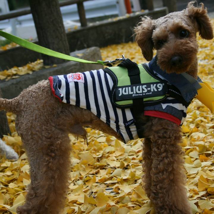 B04b708f 8c89 44c1 835c 51670019806c