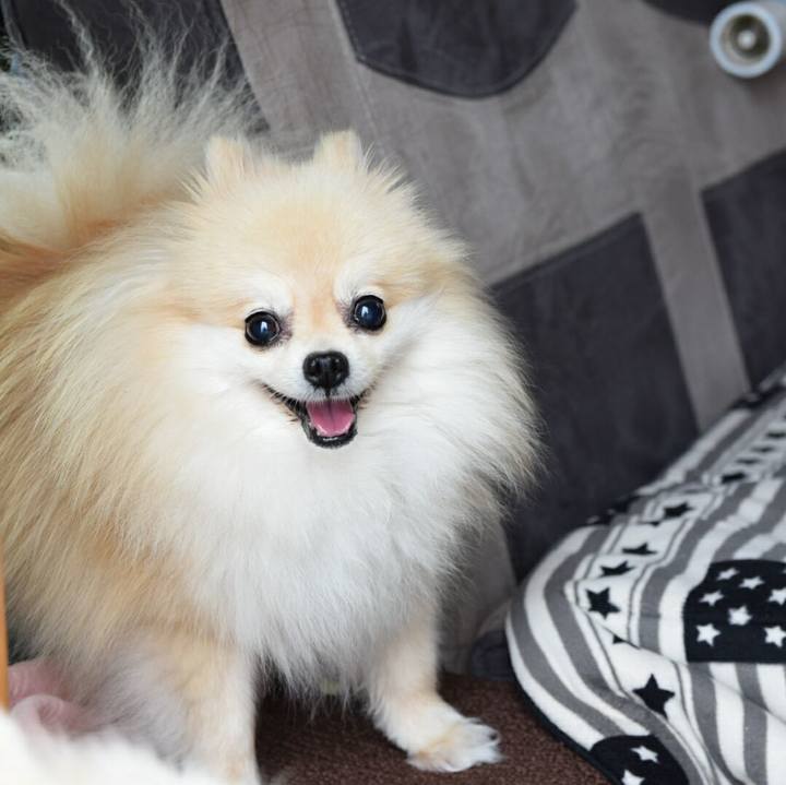 B04b766f 7b0a 4e0e 80ed 0a53d924a368