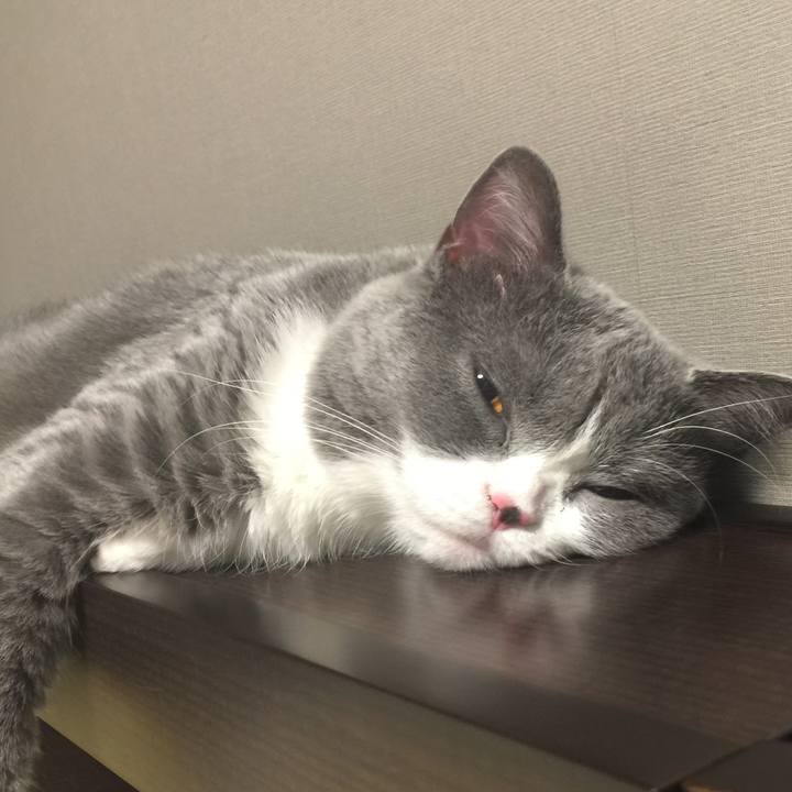 B04be334 6d4f 4dbf ab5c dd42a39e7d76