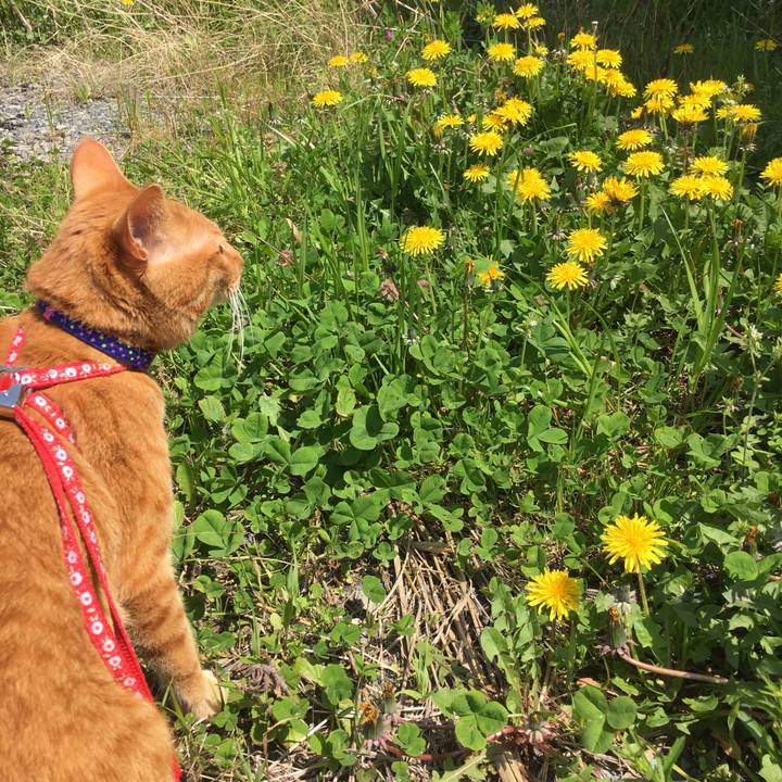 B04c1f98 4f98 4478 9301 7ff17aeed637