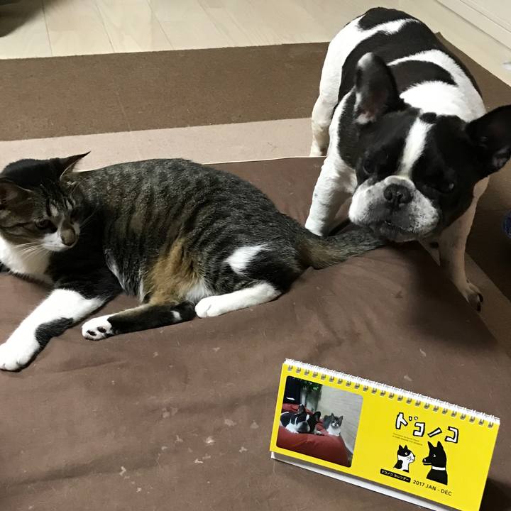 B04c23a7 caeb 412c a070 bfce74224cb2