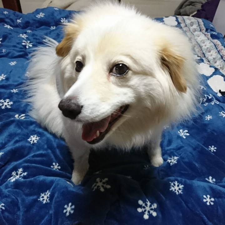 B04c5589 3472 49f4 ba84 dc73883b412a